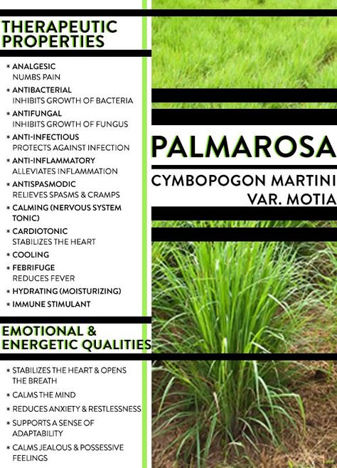 Field Of Lavender, Palmarosa Essential Oil, Young Living Essential Oils Recipes, Yl Oils, Living Essentials Oils, Doterra Oils, Young Living Oils, Oil Diffuser Blends, Oil Uses