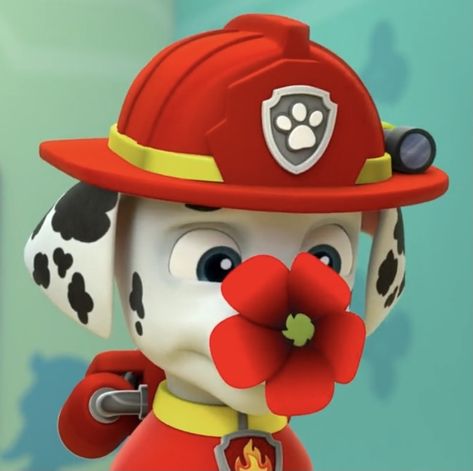 Paw Patrol Astethic, Paw Patrol Aesthetic, Marshall Wallpaper, Paw Patrol Rocky, Paw Patrol Marshall, Paw Patrol Cartoon, Everest Paw Patrol, My Little Pony Rarity, Paw Patrol Characters