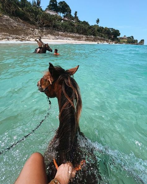 Swimming With Horses, New Experiences Aesthetic, Cool Experiences, Experiences Aesthetic, Experience Aesthetic, Horses On The Beach, Bali Activities, Bali Aesthetic, Dream Holidays