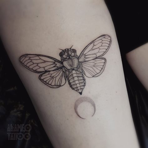 Patchwork Moth Tattoo, Cicada Tattoo Meaning, Cicadas Tattoo, Simple Cicada Tattoo, Cool Bug Tattoos, Cicada Tattoo Design, Bug Tattoo Ideas, Insect Tattoos, Cicada Tattoo