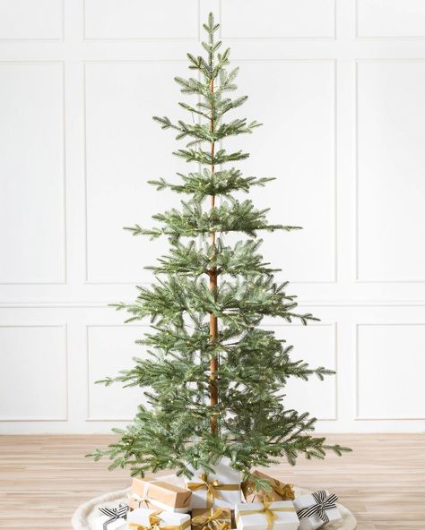 spare evergreen tree where you can see trunk Natal, Balsam Fir Christmas Tree, Balsam Fir Tree, Natal Natural, Balsam Hill Christmas Tree, Realistic Artificial Christmas Trees, Best Artificial Christmas Trees, Fake Christmas Trees, Small Christmas Tree