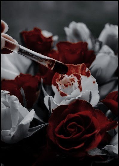 Vampcore Aesthetic, Dark Roses, Dark Alice In Wonderland, Wonderland Aesthetic, Alice In Wonderland Aesthetic, Pandora Rose, Alice Madness, Blood Art, Rosé Aesthetic