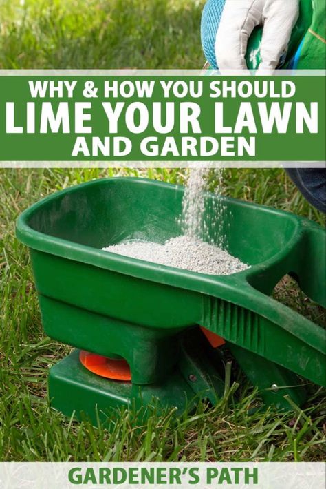 Summer Lawn Care, Lawn Care Tips, Lawn Fertilizer, Lawn Service, Lawn Sprinklers, Summer Lawn, Garden Services, Lawn Maintenance, Garden Help