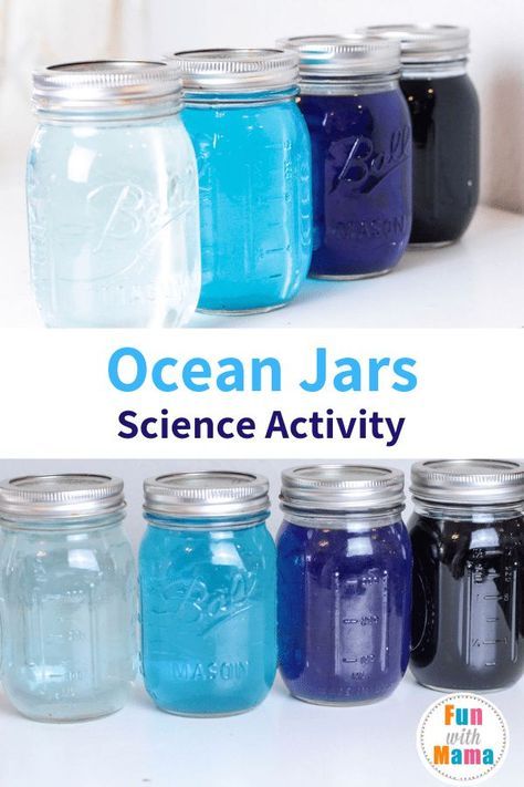 Ocean Layers, Science Activity For Kids, Layers Of The Ocean, Science Demonstrations, Cool Science Fair Projects, Ocean Projects, Craft Recipes, Experiments Kids, Kid Science