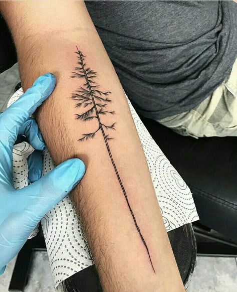 Small Nature Tattoos Men, Long Leaf Pine Tattoo, Small But Meaningful Tattoos, Outdoorsy Tattoos, Dead Tree Tattoo, Tree Line Tattoo, Straight Line Tattoo, Geometric Tattoo Tree, Forest Forearm Tattoo