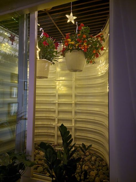 Window Well Garden Basement, Window Seal Ideas Decor Bedroom, Egress Window Decorating Ideas, Window Well Catio, Basement Window Well Ideas Decor, Window Well Ideas Basement, Window Well Ideas Plants, Window Well Decorating Ideas Plants, Window Well Garden