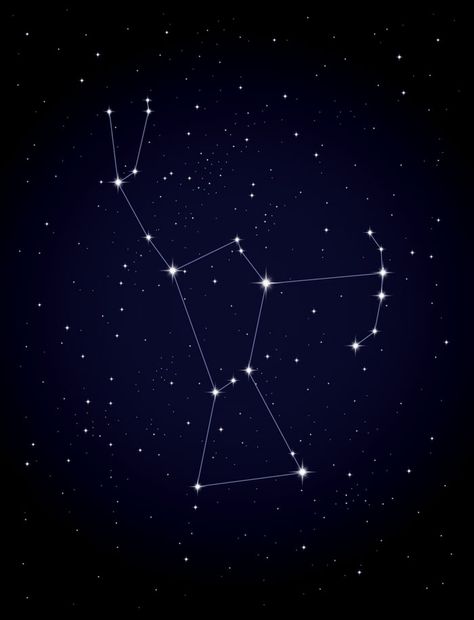 To help find their way around the sky, astronomers divide it into 88 regions, like counties in a state. The regions are connected to imaginary stick-figure pictures called the constellations. Many cultures have their own set of legendary sky figures. We use the mythological characters imagined by the ancient Greeks and ancient Egyptians. Orion, the Hunter, is one of the most familiar constellations. His shoulders, legs, and waist are easy to trace. | What Stars and Nebulae Are | Kids Discover Orion The Hunter, Orion Constellation, The Hunter, The Night Sky, Night Sky, Constellations, Stars