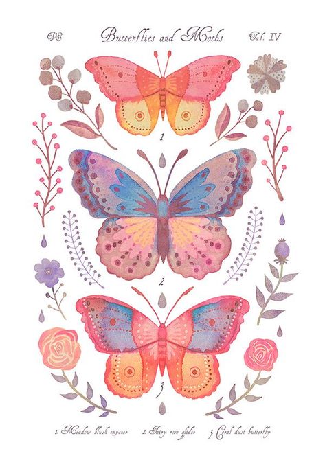 Jun 6, 2021 - A series of illustrations depicting imaginary moth and butterfly species in the style of vintage natural history books. Aesthetic Posters Butterfly, Butterfly Illustration, Butterflies And Flowers, Butterfly Drawing, Arte Inspo, Art Collage Wall, Butterfly Wallpaper, Butterfly Art, الرسومات اللطيفة