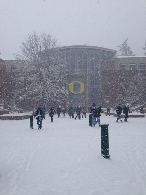 Oregon University Aesthetic, University Of Oregon Aesthetic, College Mindset, Oregon Snow, Oregon Aesthetic, Oregon University, Oregon Winter, College Pictures, Oregon Life