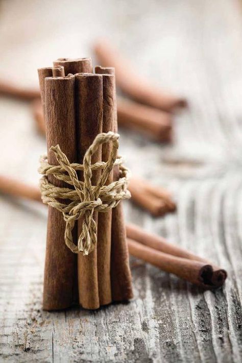 I Love Cinnamon Sticks...... Digestive Herbs, Cinnamon Health Benefits, Cinnamon Benefits, Magia Das Ervas, Functional Food, Spices And Herbs, Food Pantry, Healing Herbs, Medicinal Plants