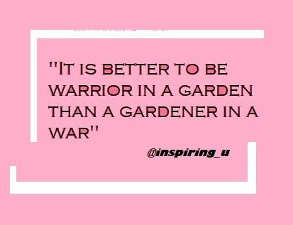 "It is better to be warrior in garden than a Gardner in a war" #inspiringu, #myinspiration#motivation A Warrior In A Garden, Warrior In A Garden, Be A Warrior, Garden Wallpaper, Inspirational Quotes Motivation, A Garden, Projects To Try, Motivational Quotes, Inspirational Quotes