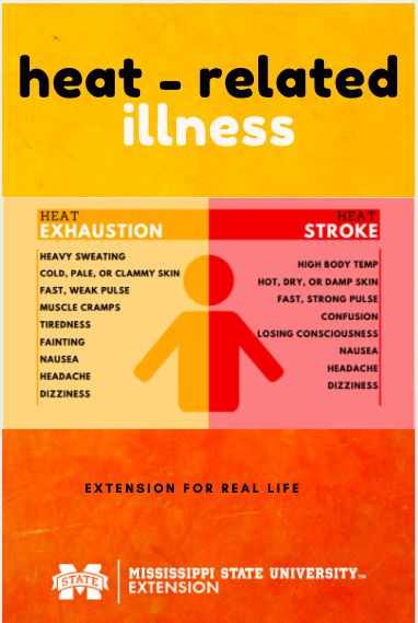 Heat can be both exhausting and dangerous. Check out this article to familiarize with symptoms of heat-related illnesses. Heat Exhaustion Symptoms, Exhaustion Symptoms, Heat Intolerance, Summer Safety Tips, Medical Things, Heat Safety, Increase Height Exercise, Dairy Free Breastfeeding, Heat Exhaustion