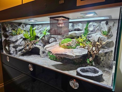 36 Ball Python Enclosure Ideas for Any Budget Snake Terrarium Ideas Ball Python, Python Enclosure Ideas, Ball Python Tank, Ball Python Enclosure Ideas, Ball Python Enclosure, Python Enclosure, Python Tank, Reptile Background, Ball Python Pet