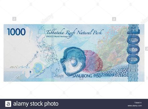 Philippine one thousand peso banknote on a white background Stock Photo: 247568357 - Alamy One Thousand Pesos Philippines, 1000 Pesos Bill Philippines, Thousand Dollar Bill, 1000 Peso Bill Philippines, Philippine Peso, Disney Princess Memes, Banknotes Money, Dinosaur Cake Toppers, Flamingo Birthday Party