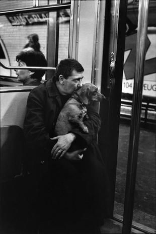 Metro Paris, Paris Metro, Foto Tips, Dachshund Love, Foto Art, Appaloosa, Human Condition, Vintage Dog, Quarter Horse