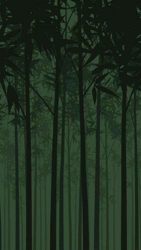 Forest Iphone Wallpaper, Bamboo Wallpaper, Dark Green Wallpaper, Dark Green Aesthetic, Ipad Wallpapers, Slytherin Aesthetic, Apple Wallpaper Iphone, Bamboo Forest, Forest Wallpaper