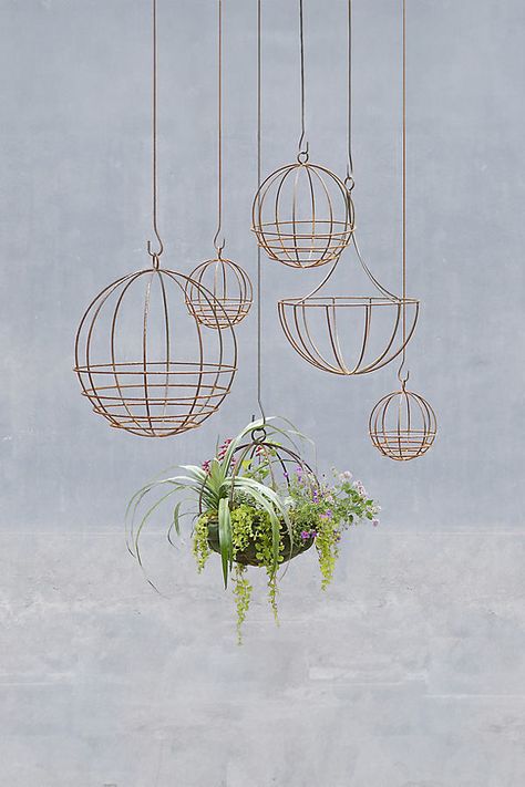 Hand-forged in California especially for terrain, these solid steel hanging baskets are designed with an extra-deep planting area so soil and plants won’t dry out. Perfect for lining with moss and hanging together for a descending display, each basket will arrive with a weathered, rusty patina. | Sphere Hanging Basket, 20" by Terrain in Beige at Anthropologie Hanging Basket, Care Basket, Hanging Plants Indoor, Outdoor Gifts, Creative Living, Hand Poured Candle, Flower Planters, Natural Gifts, Hanging Planters