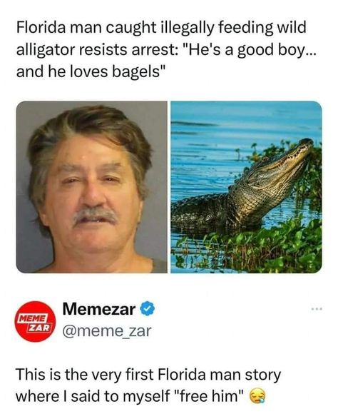 Florida Funny, Funny Headlines, Cool Beans, Funny Day Quotes, Florida Man, A Ray Of Sunshine, Everything Funny, Ray Of Sunshine, Geek Life