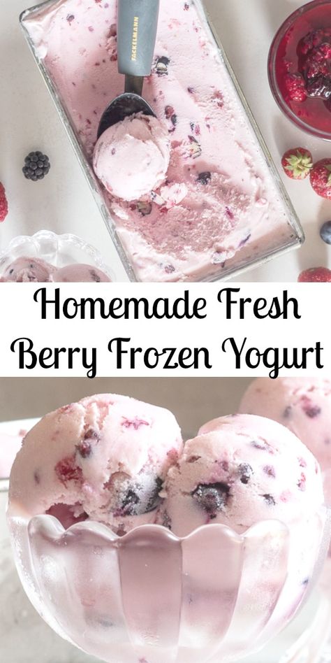 Frozen Yogurt a creamy delicious frozen homemade dessert treat, made with fresh berries, yogurt and cream.  So good you won't even miss ice cream!  #frozenyogurt #icecream #icecreammaker #berries #berryicecream #berryfrozenyogurt #dessert #summerdessert   via @https://it.pinterest.com/Italianinkitchn/ Homemade Frozen Yogurt, Frozen Yogurt Recipes, Ice Cream Maker Recipes, Yogurt Ice Cream, Homemade Ice Cream Recipes, Frozen Yoghurt, Yogurt Recipes, Homemade Ice, Milkshakes