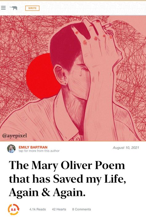 There are few poets whose words settle into my soul the way Mary Oliver’s do. Beautiful Book Illustrations, Spiritual People Quotes, Quotes About Story, Poetry About Art, Mary Oliver The Journey, Calming Poetry, May Poem, Mary Oliver Tattoo, Mary Oliver Love