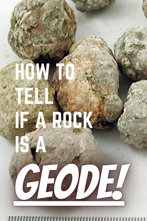 Whole geodes on a table with the text How To Tell If a Rock Is A Geode over the geodes. Geode Hunting, Gem Hunt, Rock Identification, Rock Tumbling, Geode Rocks, Rock Tumbler, Rocks And Fossils, Rock Hunting, Geology Rocks