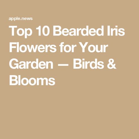 Top 10 Bearded Iris Flowers for Your Garden — Birds & Blooms Bearded Iris Flowers, Garden Birds, Bearded Iris, Flowers For You, Iris Flowers, Bird Garden, Growing Plants, The Beauty, Top 10