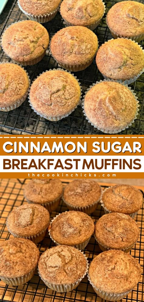 You're less than 20 minutes away from an easy breakfast on the go! Moist, fluffy, and not too sweet, these Cinnamon Sugar Muffins are a great way to start the day. Put this homemade muffin recipe on your back-to-school food! Easy Cinnamon Muffin Recipes, Cinnamon Donut Muffins, Cinnamon Pancake Muffins, Healthy Breakfast Breads And Muffins, Brown Sugar Cinnamon Muffins, Back To School Muffins, Vanilla Muffins Recipe Easy, Cinnamon Roll Muffins Easy, Homemade Muffin Recipe