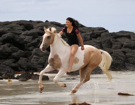 Tackless Horse Riding, Person Riding Horse, Alycia Burton, Woman Riding Horse, Bareback Riding, Free Horses, Riding Horse, Western Riding, Most Beautiful Horses