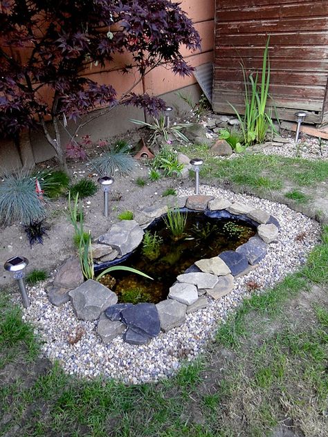 Wildlife Pond 2 & Wildlife Pond 1 by ianandrewdoyle, via Flickr Low Maintenance Rock Garden, Garden Ponds Ideas, Rock Garden Design Ideas, Ponds Ideas, Backyard Jungle Gym, Small Backyard Ponds, Small Water Gardens, Wildlife Pond, Ponds For Small Gardens