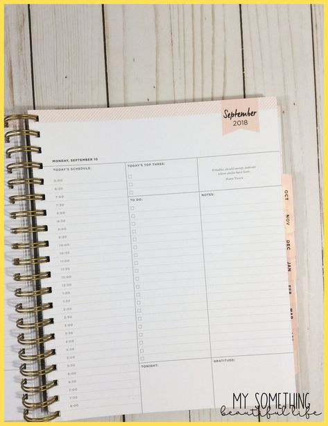 Day Designer for Bluesky - Planner Review Simple Planner Setup, Day Designer Planner Ideas, Best Daily Planner Organizers, Day Designer Planner Ideas Daily Agenda, Pocket Planner Setup, Full Focus Planner, Living Well Planner, Focus Planner, Printable Organization