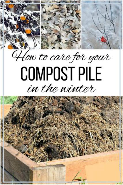 Composting For Beginners, Starting Garden, Planting Seed, How To Start Composting, Homesteading Life, Homestead Lifestyle, Homestead Gardening, Winter Vegetable, Veggie Gardens