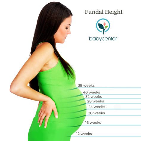 Fundal Height Chart Pregnancy, Fundal Height, 22 Weeks Pregnant, Pregnancy Information, Baby Weight, Baby Center, Second Baby, Baby Kids, New Baby Products