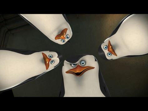 "Don’t worry, No ones gonna touch your spleen... sorry boys.” Sid The Sloth, Sorry Boys, Funny Looking Cats, Penguins Of Madagascar, The Penguins, Penguin Art, Wallpaper Dekstop, Matching Wallpaper, Concept Art Character