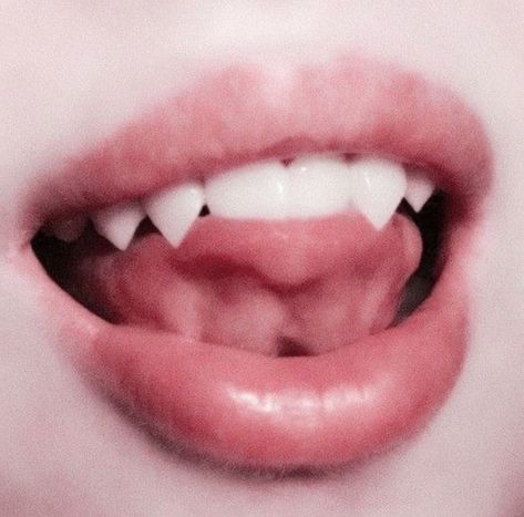 Draculaura Aesthetic, Teeth Aesthetic, Pretty Teeth, Vampire Fangs, Vampire Teeth, Catty Noir, Vampire Girls, Monster High Characters, White Teeth