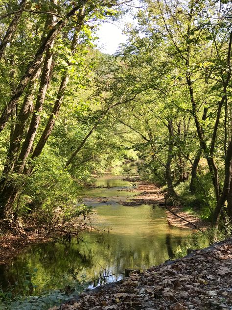 This is Troublesome Creek, in Kentucky. I recently read a book entitled _The Book Woman of Troublesome Creek_ and decided to visit this place. I’m a fan of the women of the the WPA’S Packhorse Librarians, and the aforementioned book is a fictional account of one of these women. I have researched several eastern Kentucky locations where these librarians were active, and will visit each of them on upcoming trips to kentucky. Book Woman, State Park Camping, Eastern Kentucky, Magic Mountain, Camping Park, Beauty Places, Appalachian Mountains, Read A Book, Pretty Places