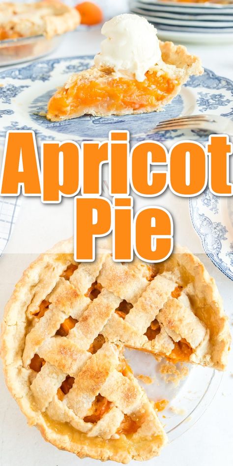 Apricot Pie Pie, Fresh Apricot Pie Filling Recipes, Apricot Pie, Fruit Pie Recipe, Apricot Cake, Apricot Recipes, Summertime Recipes, Fruit Pie, Hand Pies