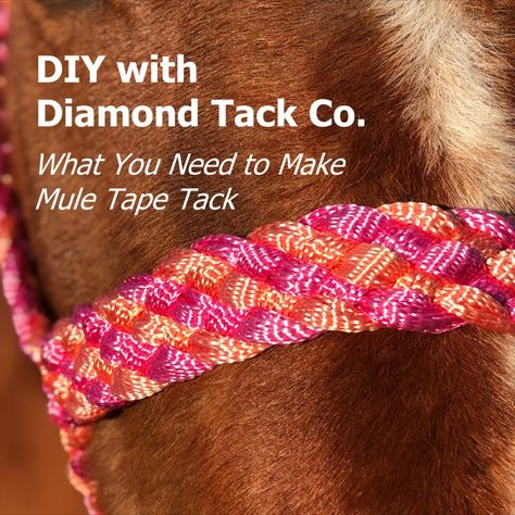 Braiding mule tape can be a fun hobby or a great second income, but what do you need to get started? In this video we go over all of the essentials as well as some helpful tools to make braiding easier. Mule Tape Halter, Horse Stables Design, Horse Tack Diy, Horse Braiding, Paracord Braids, How To Braid, Bitless Bridle, Horse Halters, Horse Halter