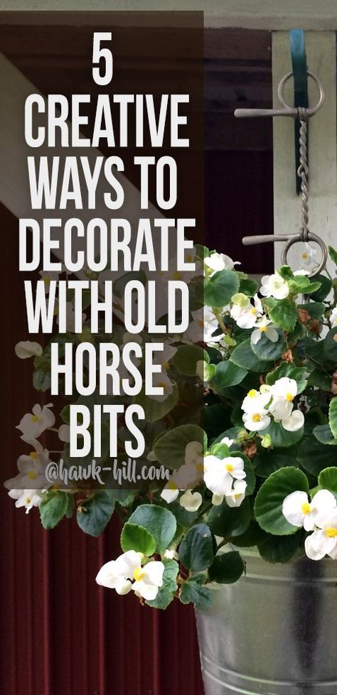 Old Horse Bits Ideas, Equestrian Style Decor, Cheap Wreaths, A Love Language, Horse Room, Horse Halters, Western Crafts, Equestrian Chic, Antique Horse