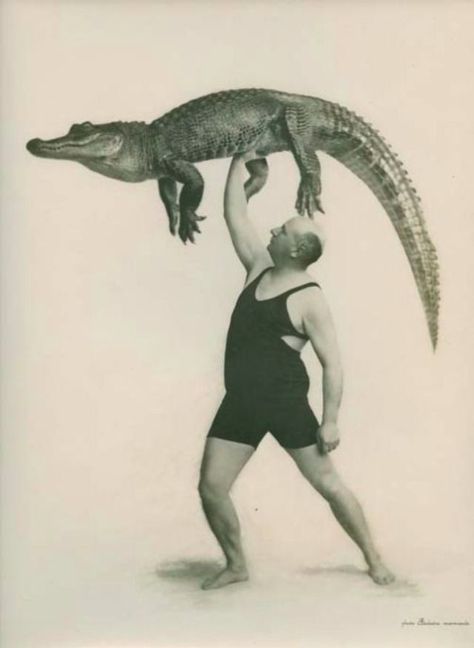 vintage everyday: 27 Incredible Vintage Photographs of People Posing With Alligators, Even Cuddle or Ride Them, from the Early 20th Century Cirque Vintage, Old Circus, Circus Sideshow, Circus Performers, Fotografi Vintage, People Poses, Peregrine, Vintage Circus, Crocodiles