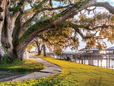 7 Reasons You’ll Fall in Love with Fairhope, Alabama | SouthernLiving Fairhope Alabama, Best Places To Retire, Fairhope Al, Southern Travel, Alabama Travel, Epic Journey, Orange Beach, Travel Time, Beach View