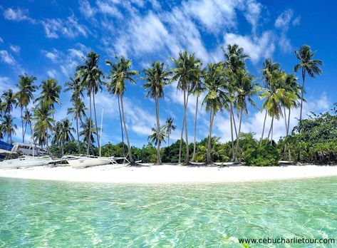 Paliton Beach  is  mostly  one  of  the  famous  beach  in   the  Island. Located  at  San Juan Siquijor  .   Book  your  tour now  with  Charlie Tour  Agency  .  For  inquiries and  bookings  you may  call  any  of  the  following number :  ☎️Telephone: (032) 384 8551 📞Cellphone: 0917 – 512 – 4437 or you may visit our website for more: 🌐www.cebucharlietour.com  #siquijorisland  #siquijortour  #mysticalisland  #islandofsiquijor  #mysticalisland  #travelandtour  #travelagency Paliton Beach Siquijor, Siquijor Island, Beautiful Beaches Paradise, Cebu Philippines, Famous Beaches, Travel Planning, Cebu, Travel Agency, Beautiful Beaches