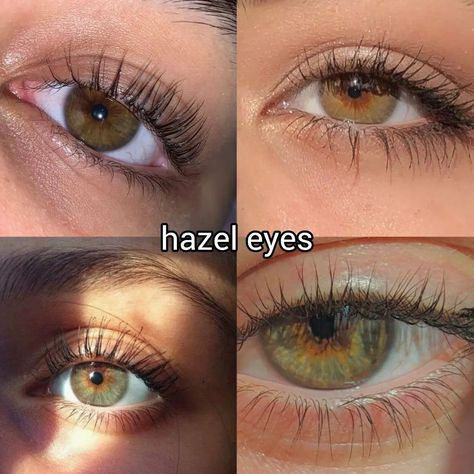 what is the colour of your eyes? ♡ follow @jeonrencia for more! 🍂 ✧₊˚. Pretty Eyes Blue, Beautiful Eye Aesthetic, Facts About Hazel Eyes, The Art Of Eye Contact, Pretty Eyes Color, Different Eye Colors, Eye Colours, Star Face, Blue Eye Color