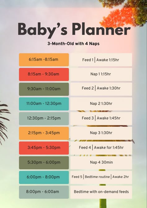 6 Month Sleep Schedule, 3 Month Old Schedule, 4 Month Old Schedule, 3 Month Old Sleep, 4 Month Old Sleep, Baby Shopping List, Mom Checklist, 5 Month Old Baby, Baby Planner