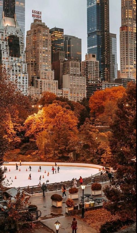 York Christmas, Autumn In New York, Nyc Life, New York Life, Autumn Scenery, Christmas Outfits, Fall Feels, Best Seasons, Fall Pictures