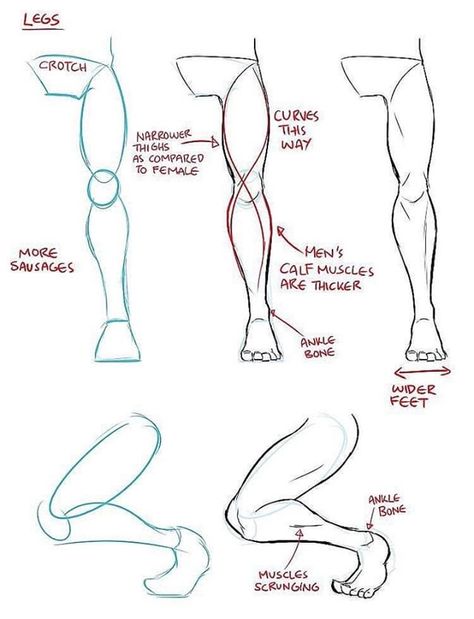 Leg Anatomy, Drawing Legs, Manga Tutorial, Human Figure Drawing, Anatomy Sketches, Poses References, Anatomy Drawing, Figure Drawing Reference, Guided Drawing