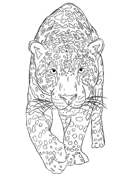 Digital Stamps Free, Leopard Drawing, Half Sleeve Tattoo Stencils, Tiger Sketch, Big Cat Tattoo, Jaguar Tattoo, Leopard Tattoos, Tiger Drawing, Tattoo Outline Drawing