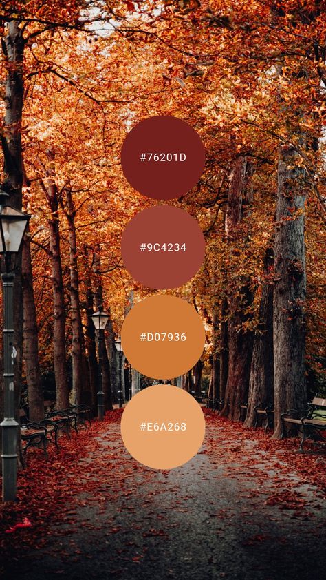 Color Palette With Rust Orange, Autumnal Colour Scheme, Fall Complimentary Colors, Autumn Decor Color Palette, Autumn Aesthetic Colour Palette, Pumpkin Spice Colour Palette, Autumn Color Palette Bedroom, Maroon Orange Color Palette, Autumn Fall Color Palette