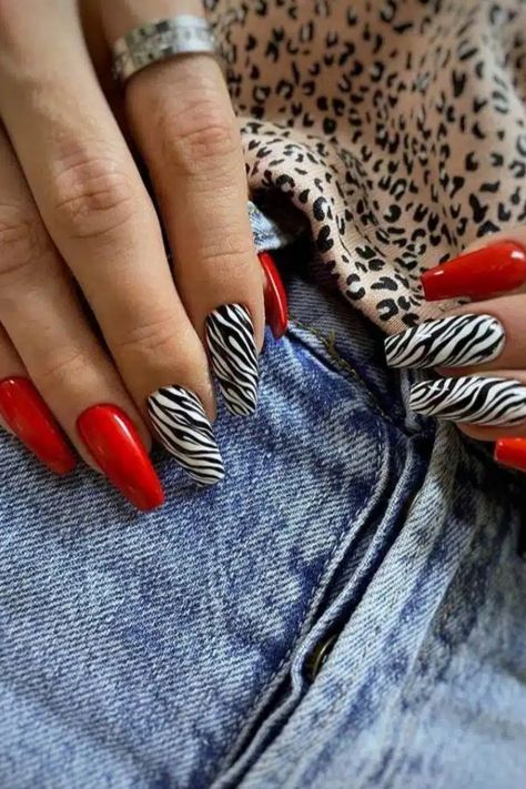 Accent nails, especially the fun animal prints, are making a big comeback this year. And among all those prints, zebra patterns are… Lavender Nails Gel, Diy Valentine's Nails, Matte Nails Glitter, Zebra Nail Art, Zebra Print Nails, Pink Nail Colors, Zebra Nails, Cheetah Nails, Romantic Nails