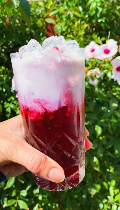 Rose Water Drink, Zoo Images, Hibiscus Iced Tea, Organic Meals, Megan Mitchell, Dried Hibiscus Flowers, Delicious Drink Recipes, Fancy Drinks, Hibiscus Tea