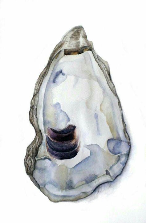 Seashell Painting, Watercolor Paintings For Beginners, Watercolor Ocean, Painted Shells, Custom Watercolor, Custom Portrait, Shell Art, Coastal Art, Oyster Shell